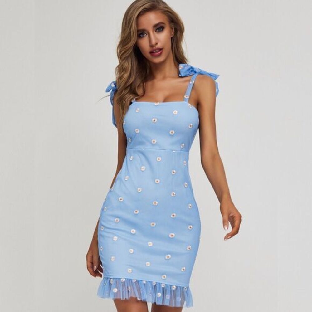 SBetro Ruffle Hem Flower Embroidered Mesh Dress